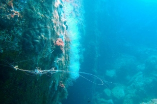  Rigoletto wreck 